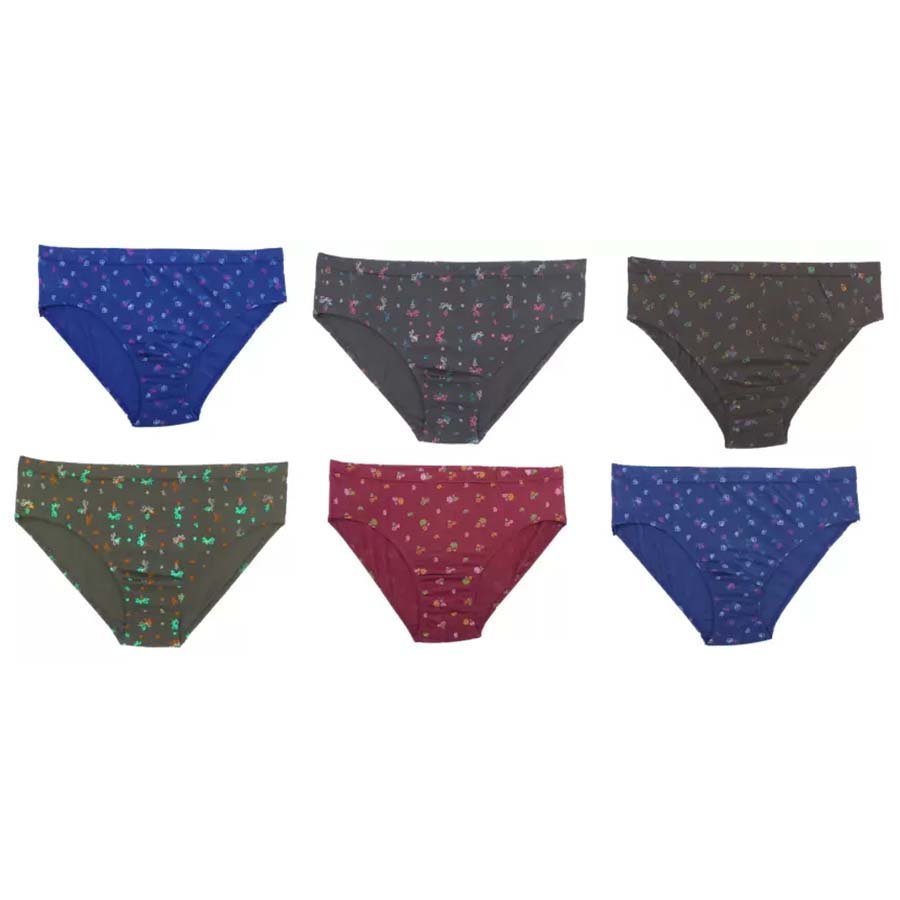 Women Hipster Multicolor Panty Pack of 6